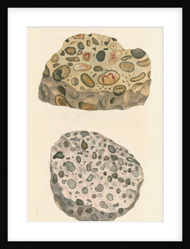 'Silex quartzum' by James Sowerby