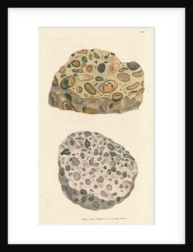 'Silex quartzum' by James Sowerby