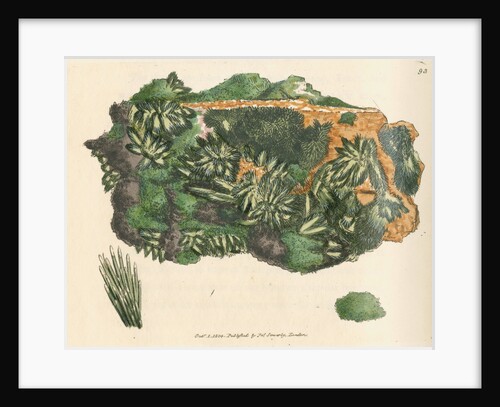 'Cuprum arseniatum' by James Sowerby