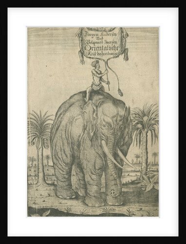 Indian elephant by Andreas Lorenzen Rothgiesser