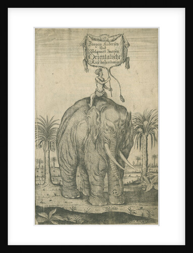 Indian elephant by Andreas Lorenzen Rothgiesser