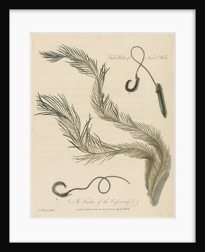 'A Feather of the Cassowary' by Edward Kennion