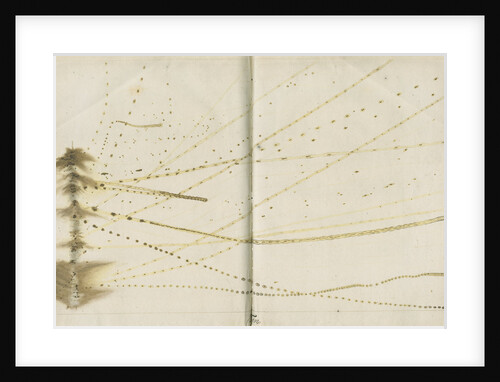 Tin wire explosion pattern by Anonymous