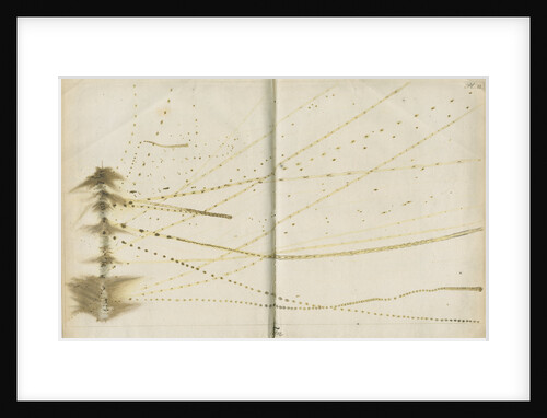 Tin wire explosion pattern by Anonymous