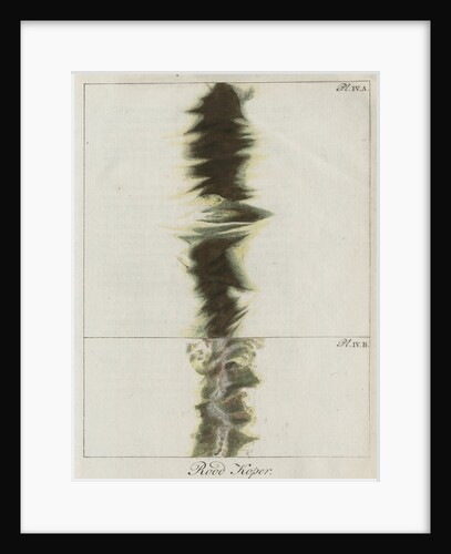 Copper wire explosion pattern by Anonymous