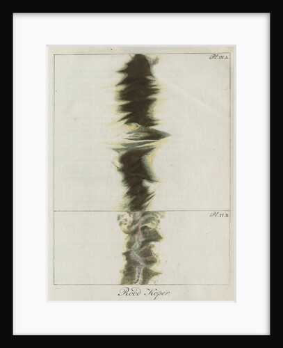 Copper wire explosion pattern by Anonymous