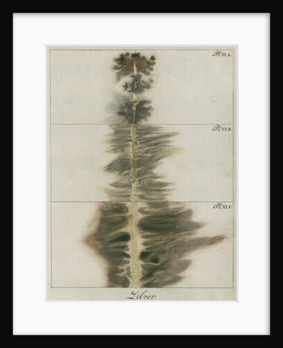 Silver wire explosion pattern by Anonymous