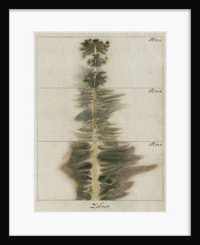 Silver wire explosion pattern by Anonymous