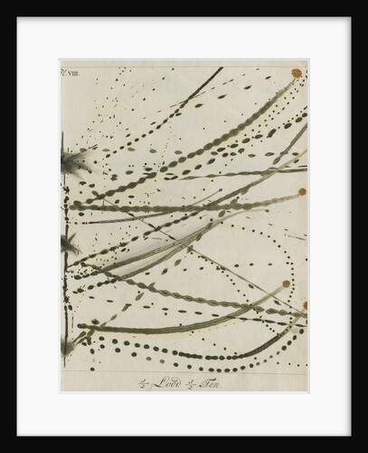 Lead-Tin alloy wire explosion pattern by Anonymous