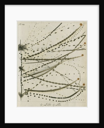 Lead-Tin alloy wire explosion pattern by Anonymous