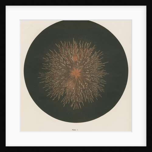 Electrical discharge by The Autotype Company