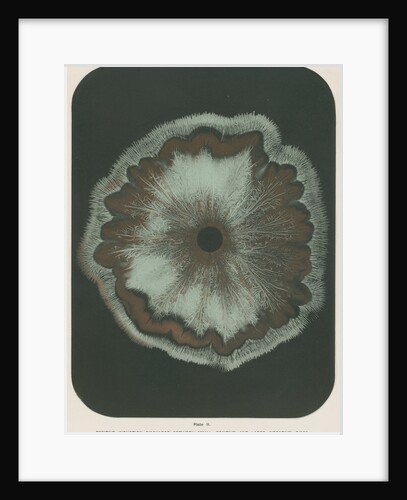 Electrical discharge by The Autotype Company