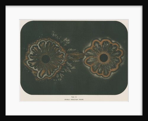 Electrical discharge by The Autotype Company