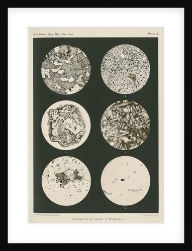 Lavas of Krakatoa by Anonymous