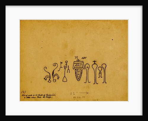 Picture-writing of a family group and iguanas by Richard Spruce