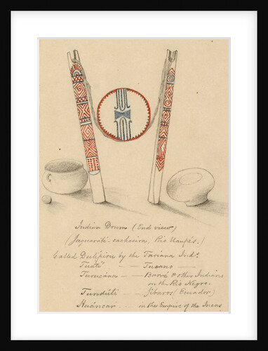 An Indian drum by Richard Spruce