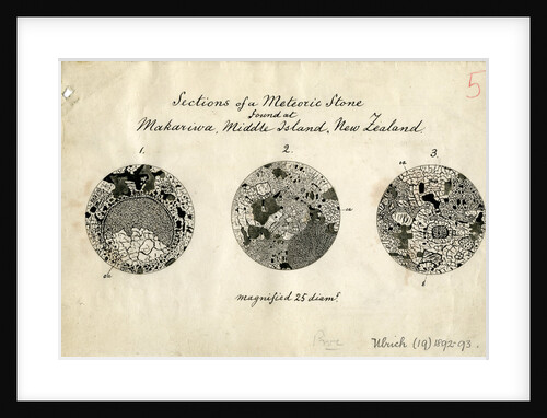 Sections of meteorite by George Henry Frederick Ulrich