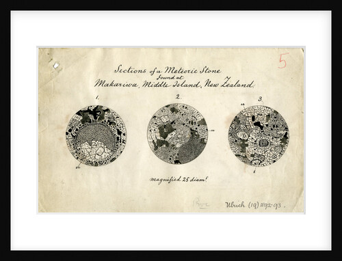 Sections of meteorite by George Henry Frederick Ulrich
