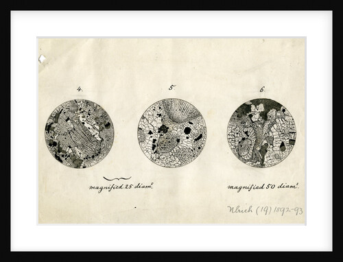 Sections of meteorite by George Henry Frederick Ulrich
