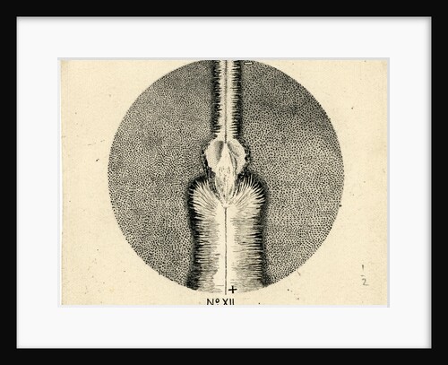 Spark discharge figure by Unknown