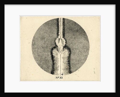 Spark discharge figure by unknown