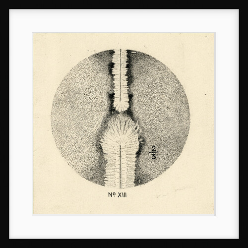 Spark discharge figure by Unknown