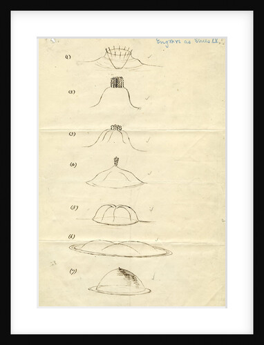 Impact on a liquid by Arthur Mason Worthington