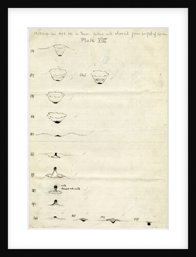 Impact on a liquid by Arthur Mason Worthington