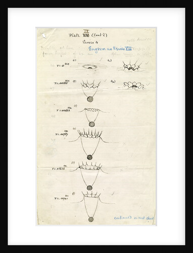 Impact on a liquid by Arthur Mason Worthington
