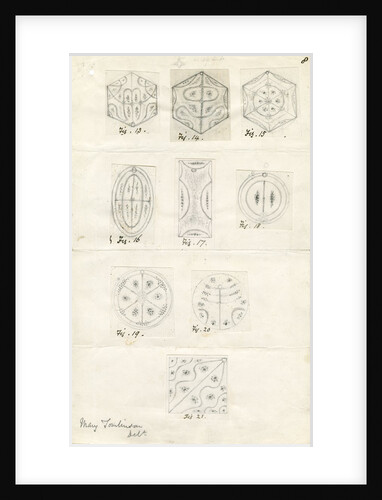 Nine figures showing nodal lines on vibrating plates by Mary Tomlinson