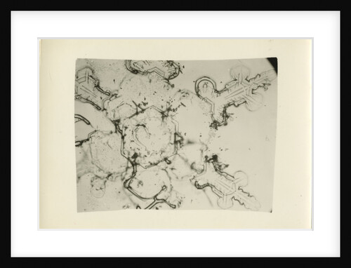 Snow crystal by Unknown