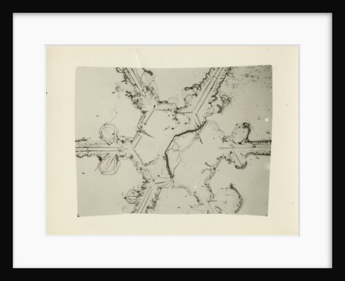 Snow crystal by Unknown