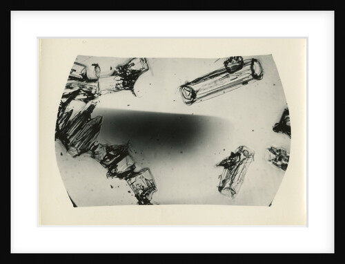 Snow crystal by Unknown