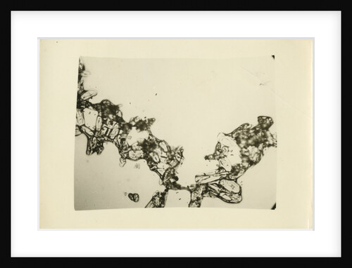 Snow crystal by Unknown