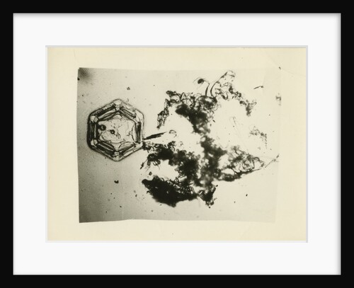 Snow crystal by Unknown