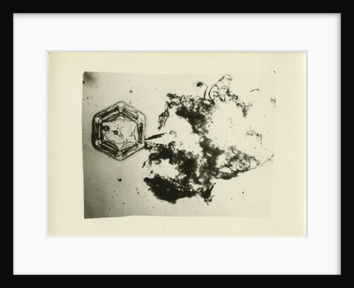Snow crystal by unknown
