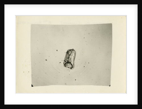 Snow crystal by Unknown