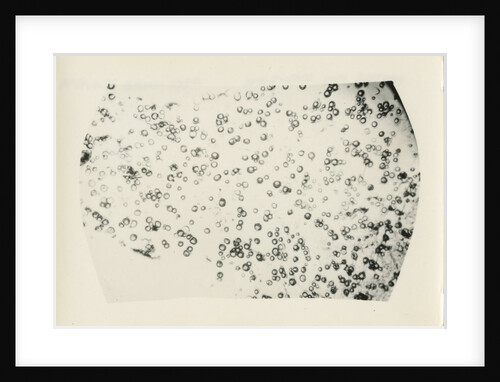 ‘Water fog droplets’ by Unknown