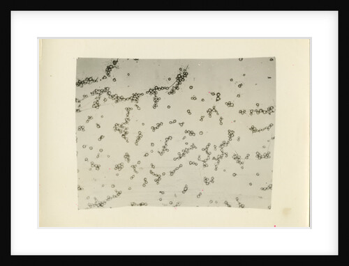 ‘Water fog droplets’ by Unknown