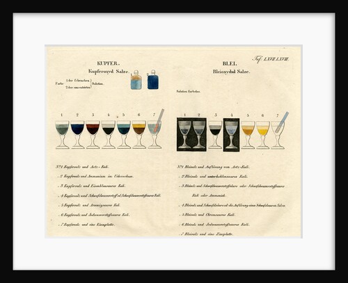 Copper and lead solutions by Unknown