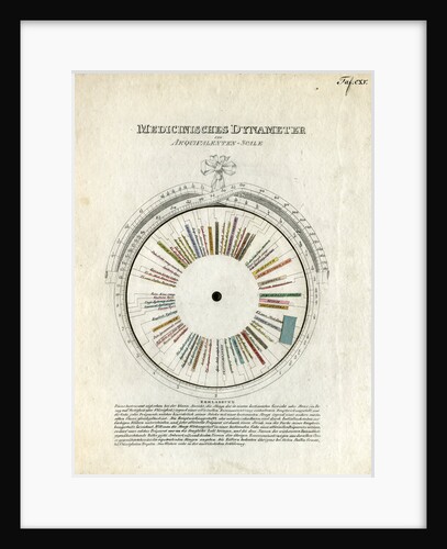 Medicinal dynameter by After John Ayrton Paris