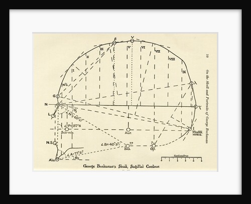 Measurements of George Buchanan’s skull by Unknown