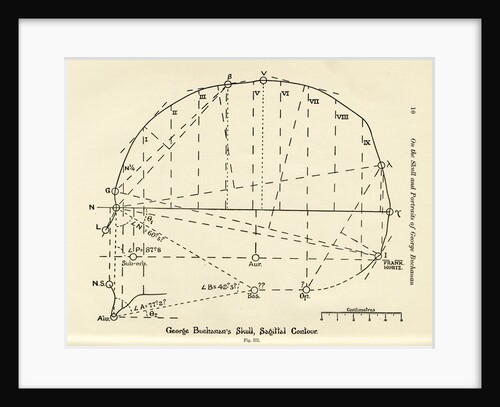 Measurements of George Buchanan's skull by unknown