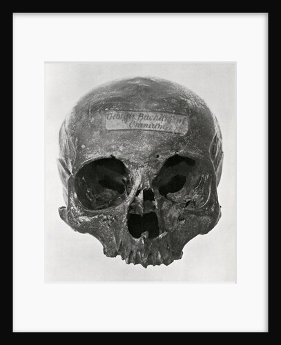 George Buchanan's skull by unknown