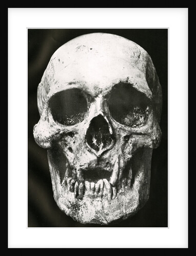 Robert the Bruce's skull by unknown