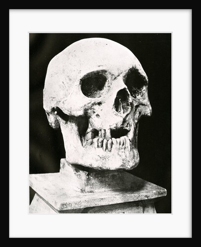 Robert the Bruce's skull by unknown
