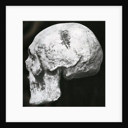 Robert the Bruce's skull by unknown