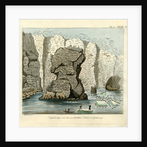 Sea bird colonies of Grimsey by Friedrich Eduard Müller