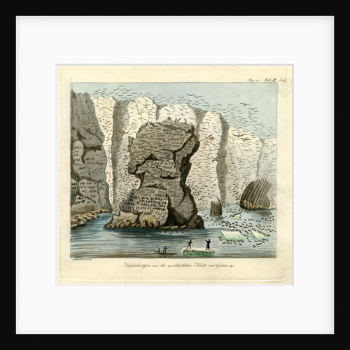 Sea bird colonies of Grimsey by Friedrich Eduard Müller