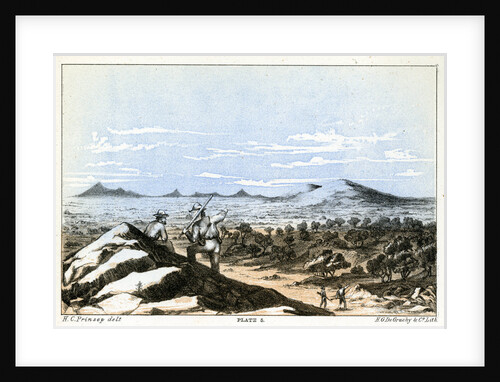 Mount Narryer and Mount Murchison by Henry Charles Prinsep